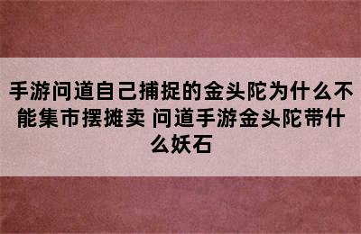 手游问道自己捕捉的金头陀为什么不能集市摆摊卖 问道手游金头陀带什么妖石